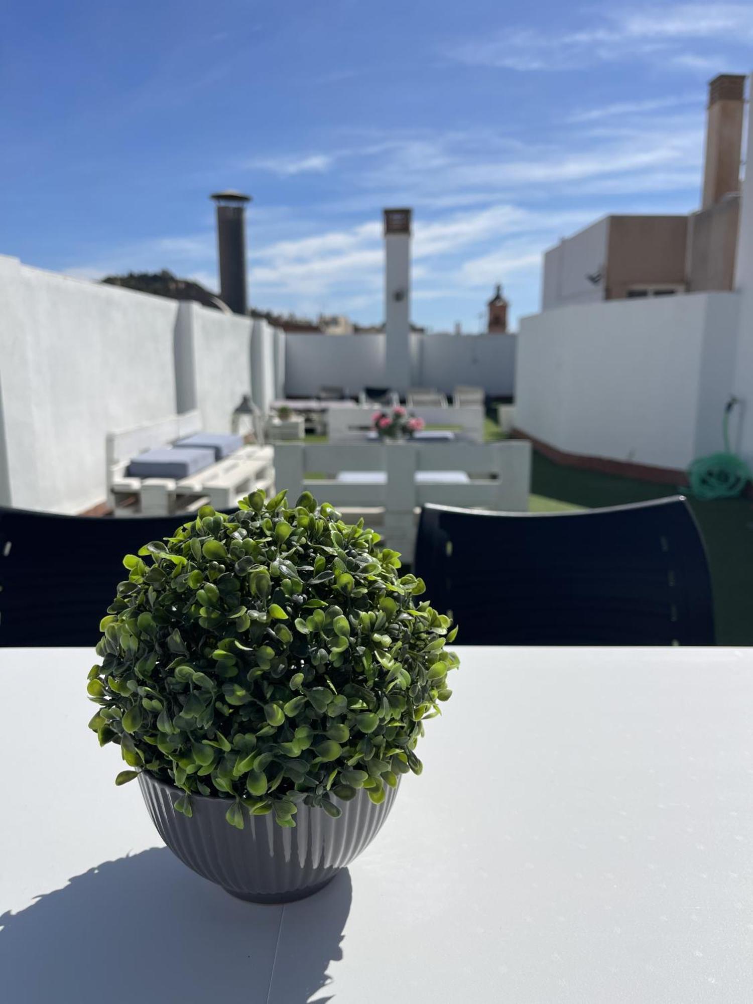 San Rafael Terrace City Centre Malaga Zewnętrze zdjęcie